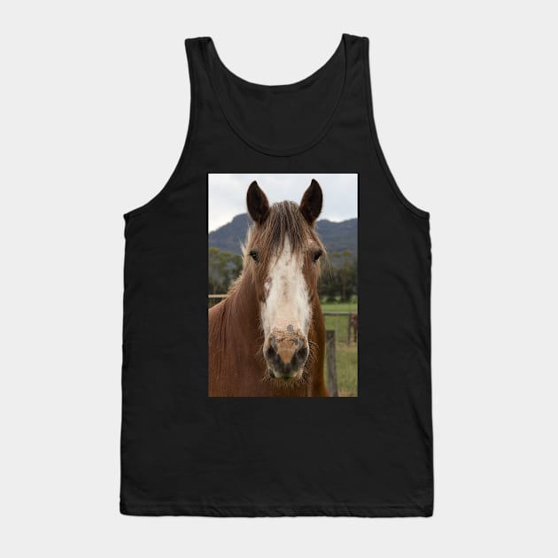 Rosie, the Clydesdale. Tank Top by Withns